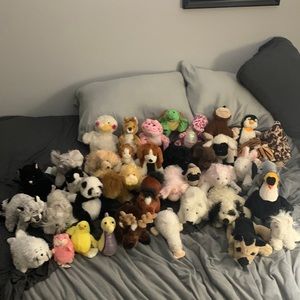 Webkinz collection, no codes